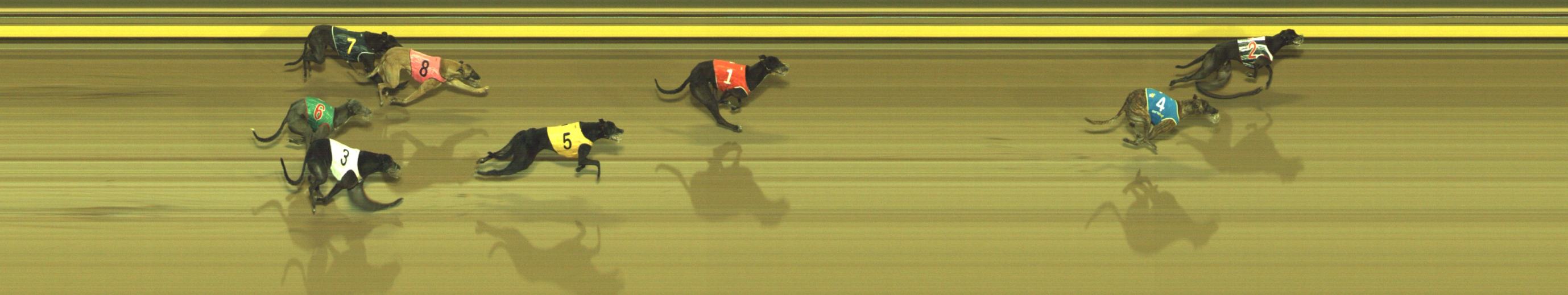 Race result finish photo